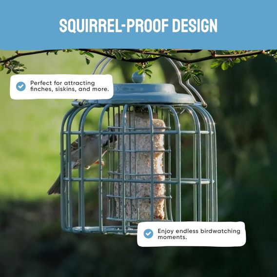 The Nuttery Squirrel-Proof Oval Fat Ball/Suet Cake Feeder